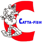 C-last.gif (6772 bytes)