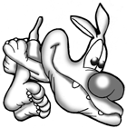 dog3-2-140.gif (13367 bytes)